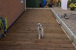 Fencing Nottingham Timeline 11
